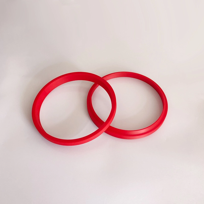 Hydraulic Dust Seals