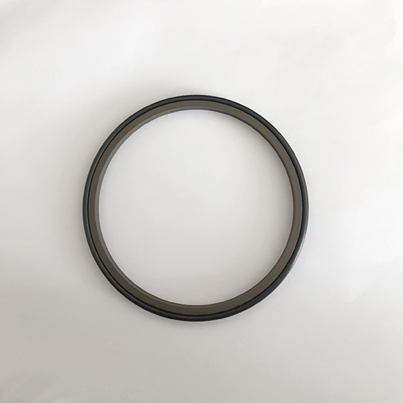 Hydraulic Dust Seals