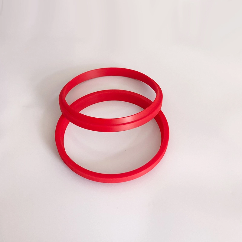 Hydraulic Dust Seals