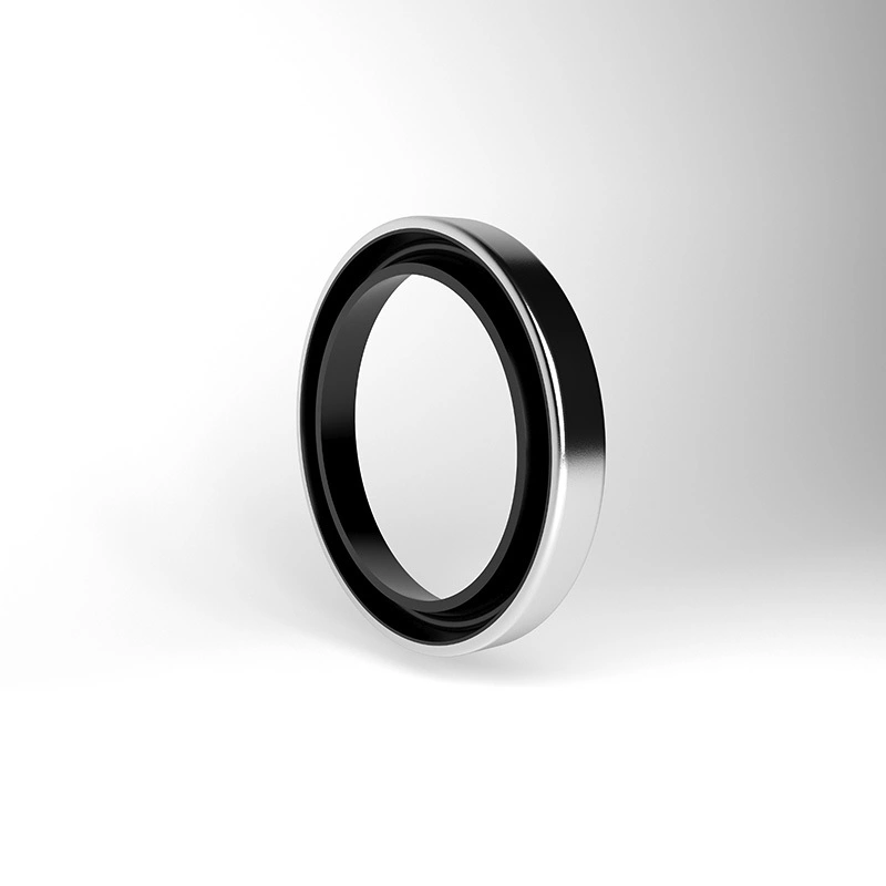 Hydraulic Dust Seals