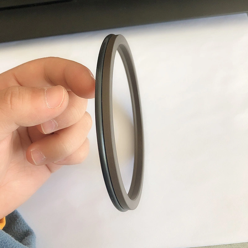 Hydraulic Dust Seals