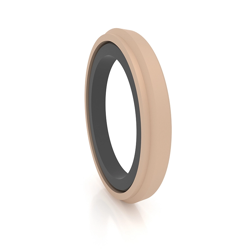 Hydraulic Seals For Piston Holes Hydraulic Seals For Piston Holes