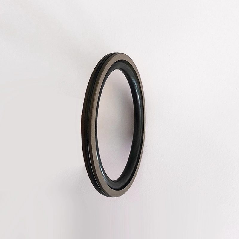 Hydraulic Seals For Piston Holes Hydraulic Seals For Piston Holes